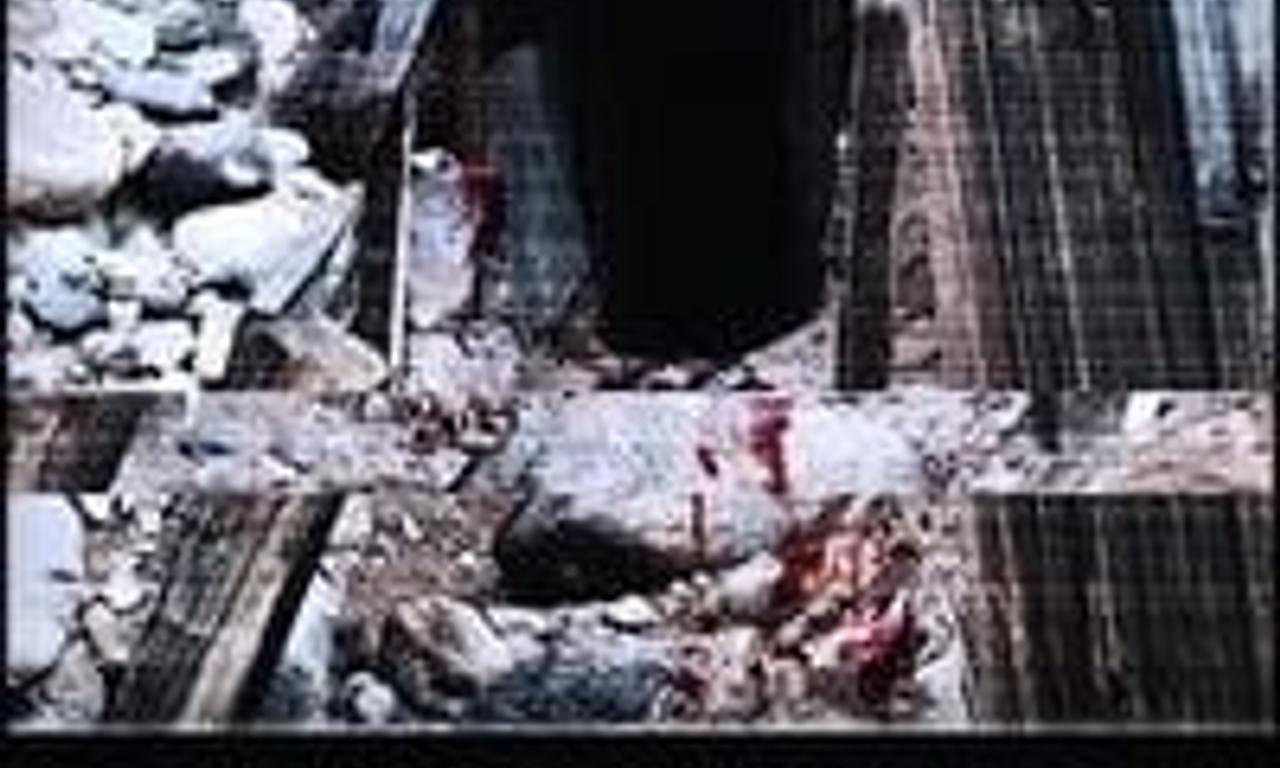 header image for The Garlock Incident