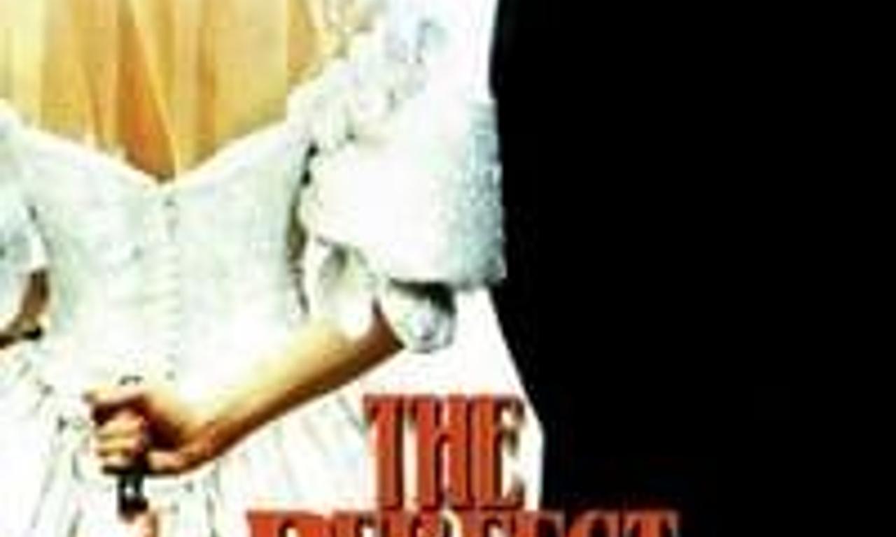 header image for The Perfect Wife