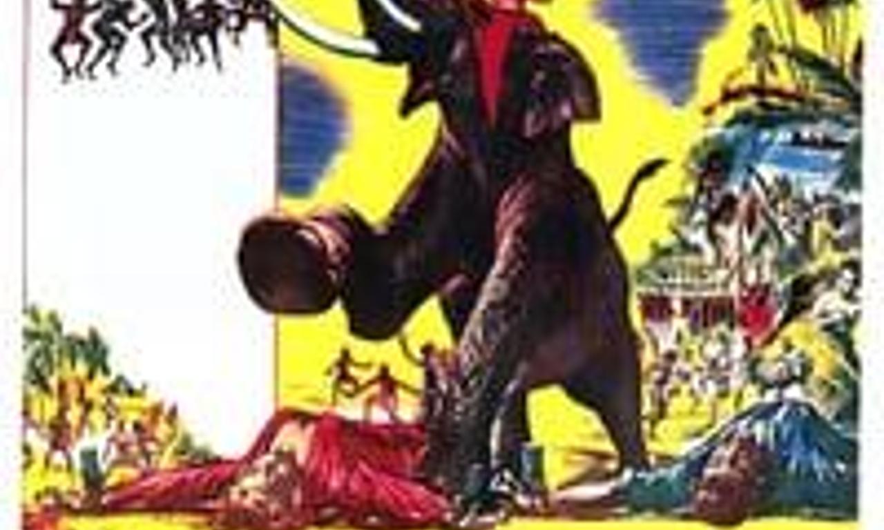 header image for The Beachcomber