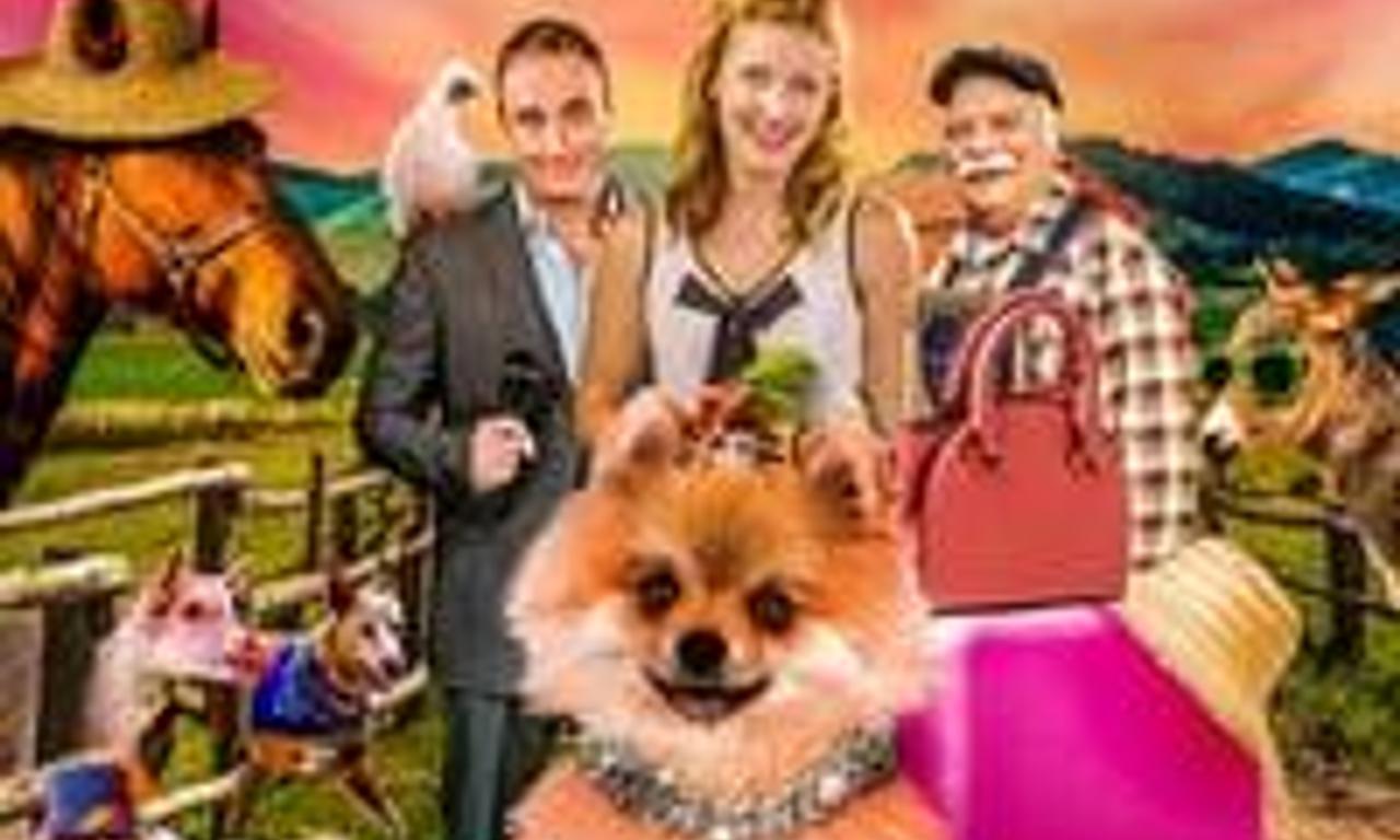 header image for PawParazzi