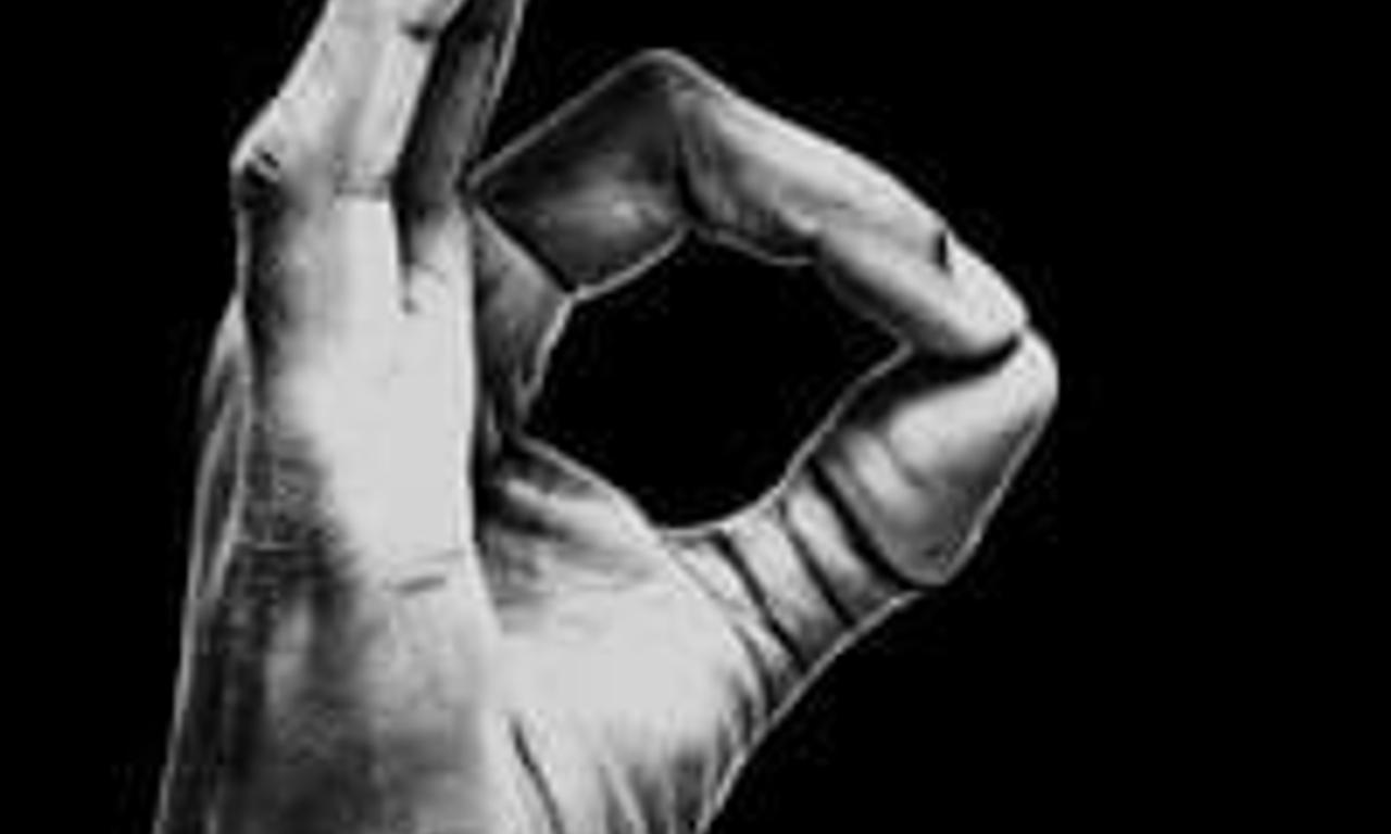 header image for White Noise