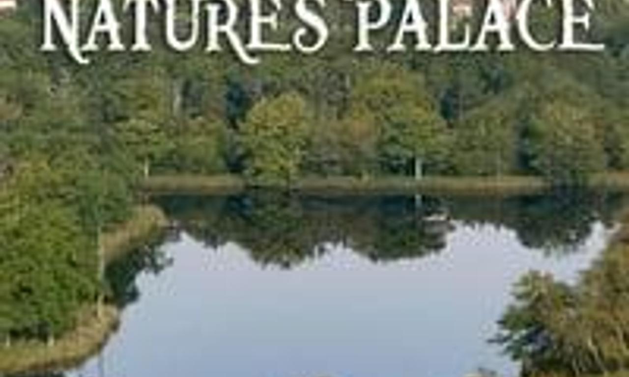 header image for Nature's Palace