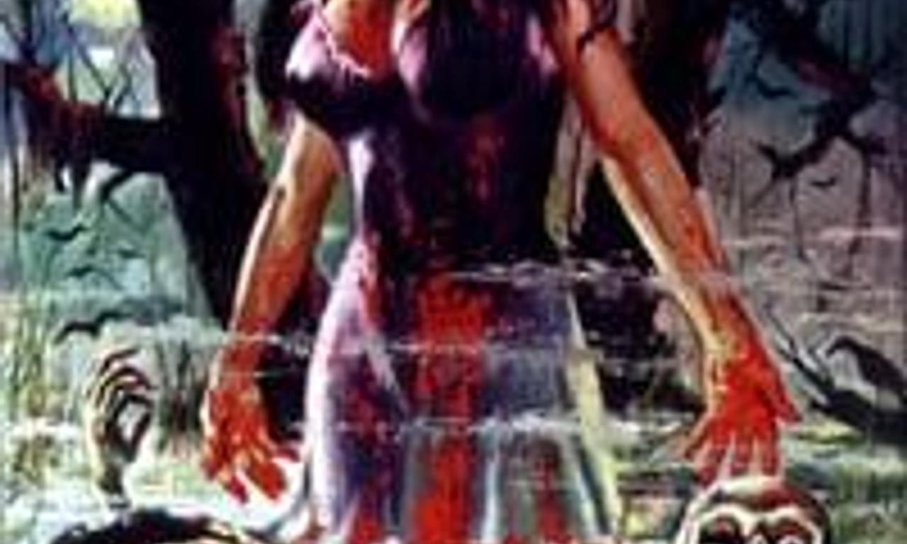 header image for The Swamp of the Ravens