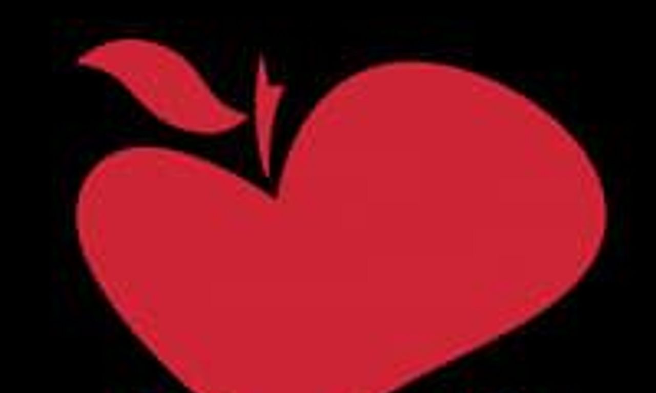 header image for Brooklyn Love Stories