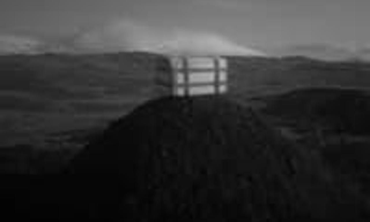 header image for The Whalebone Box