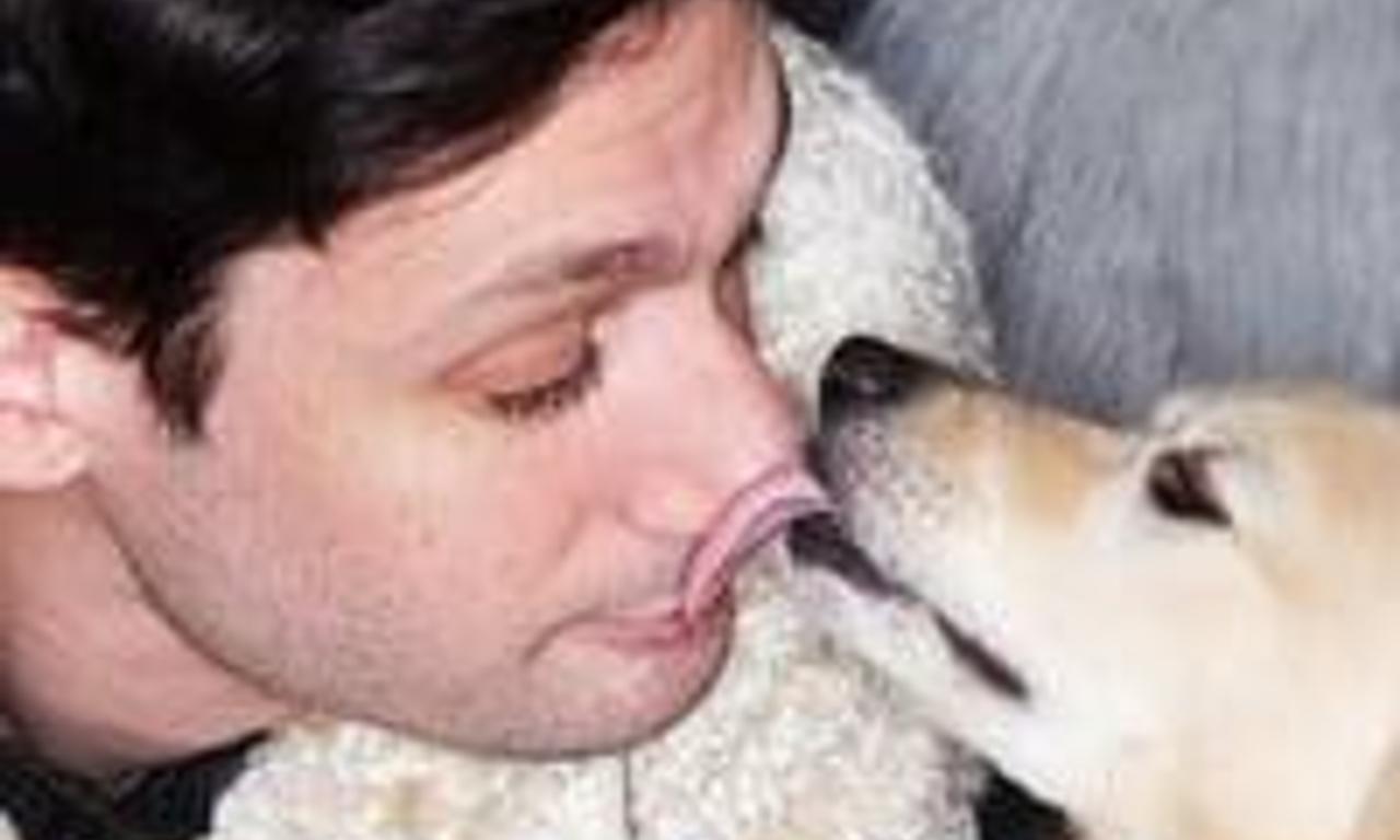 header image for Adam Newman: Fuzzies