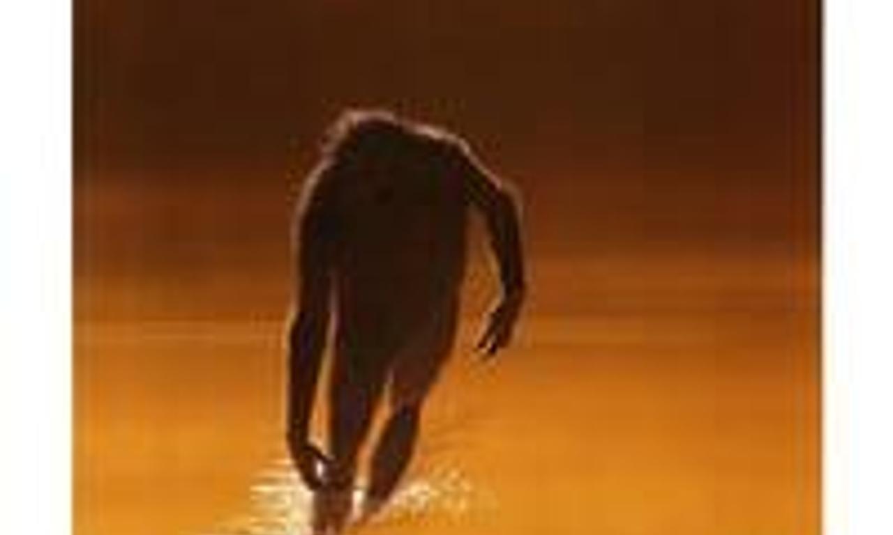 header image for The Legend of Boggy Creek