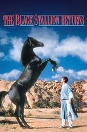 The Black Stallion Returns
