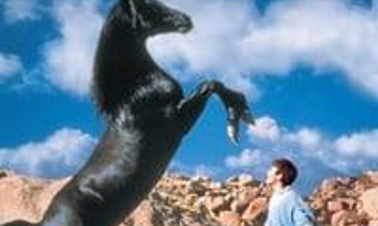 header image for The Black Stallion Returns