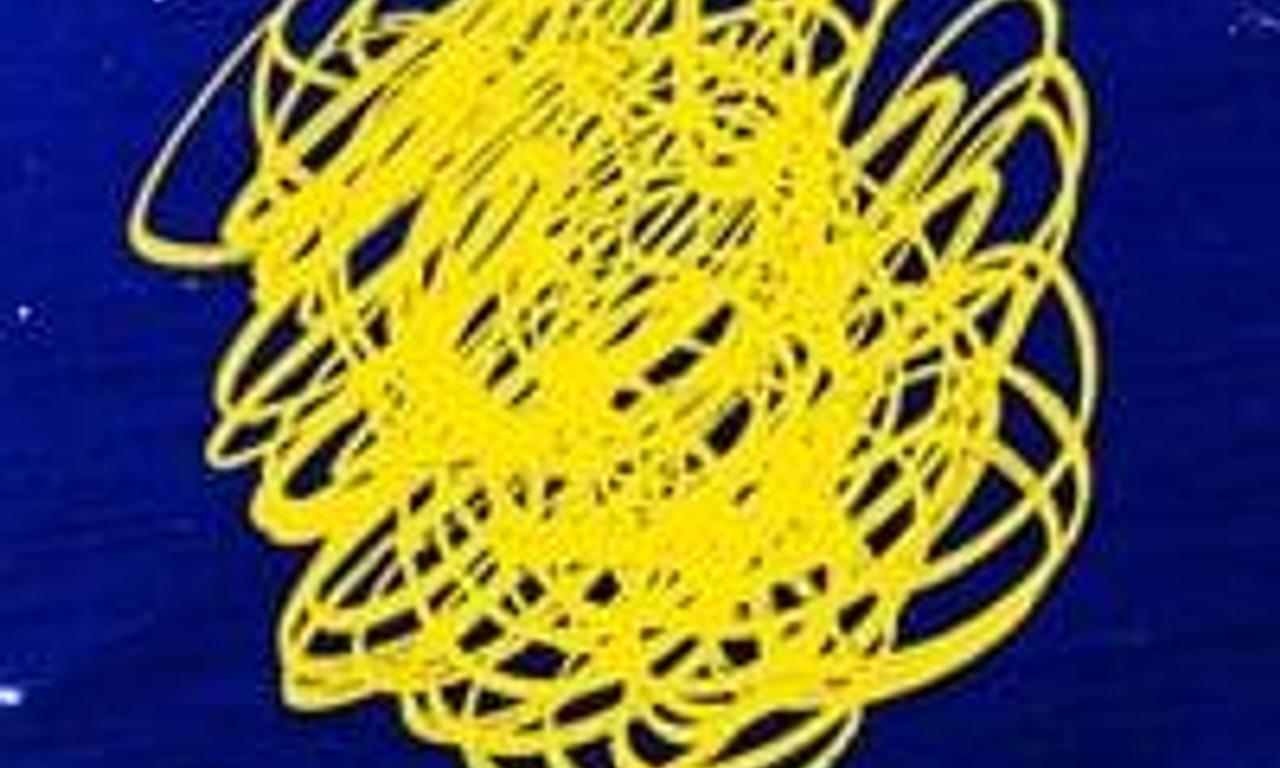 header image for Belonging