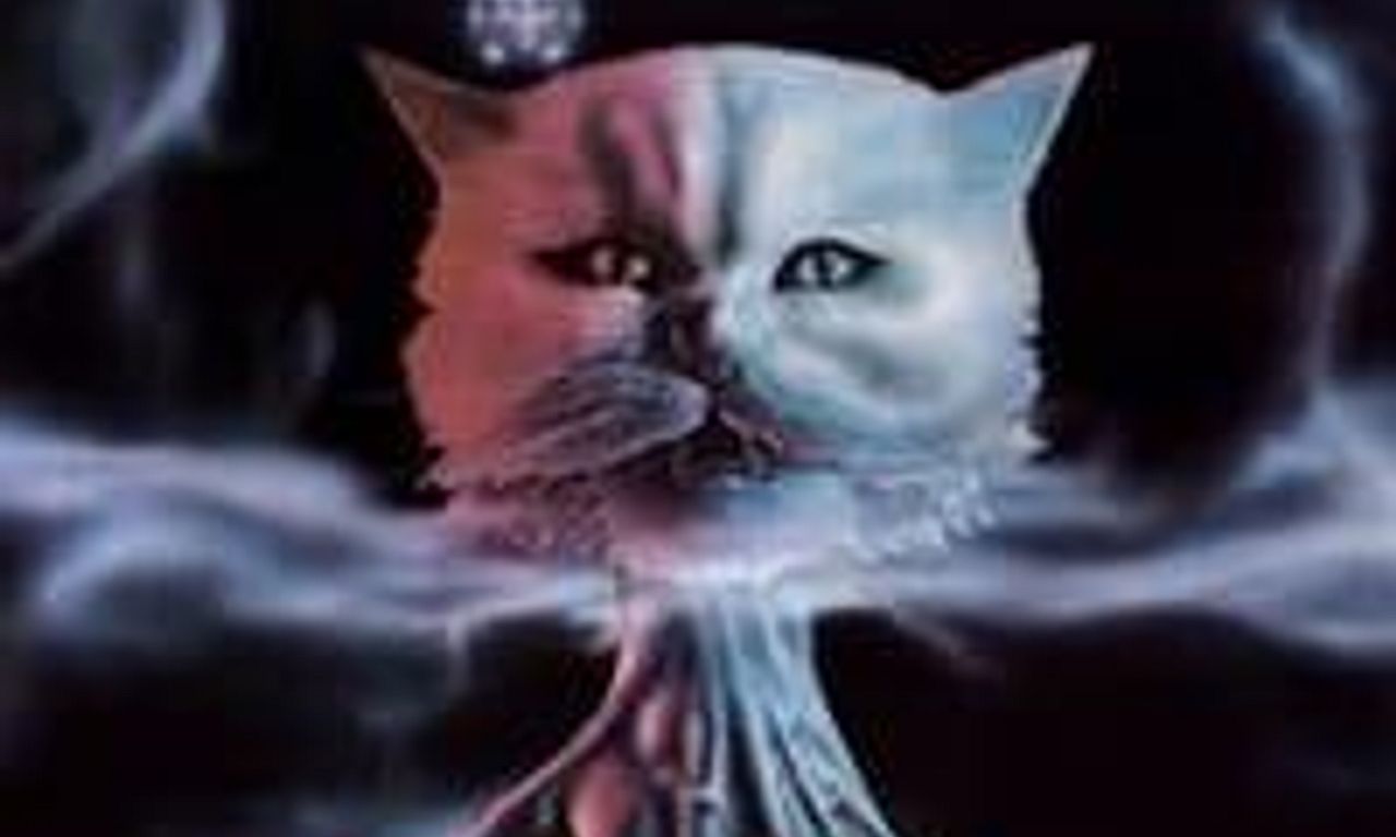 header image for The Legacy