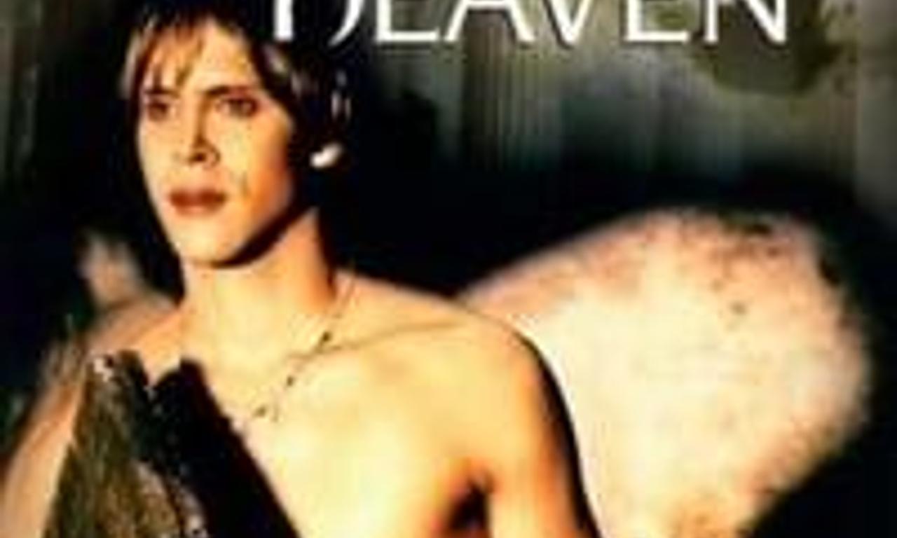 header image for The Discovery of Heaven