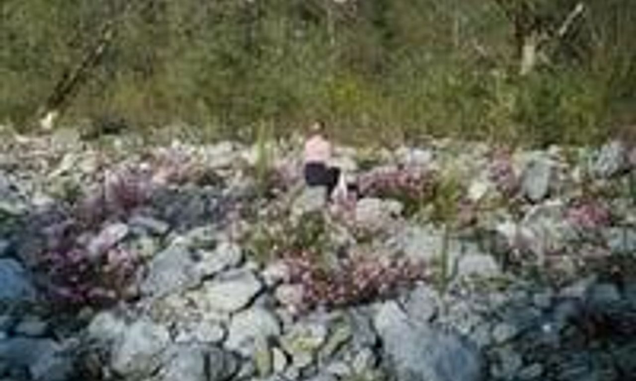 header image for Beginning