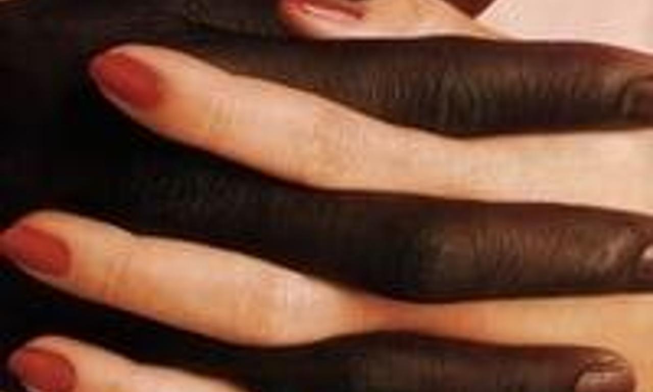 header image for Jungle Fever
