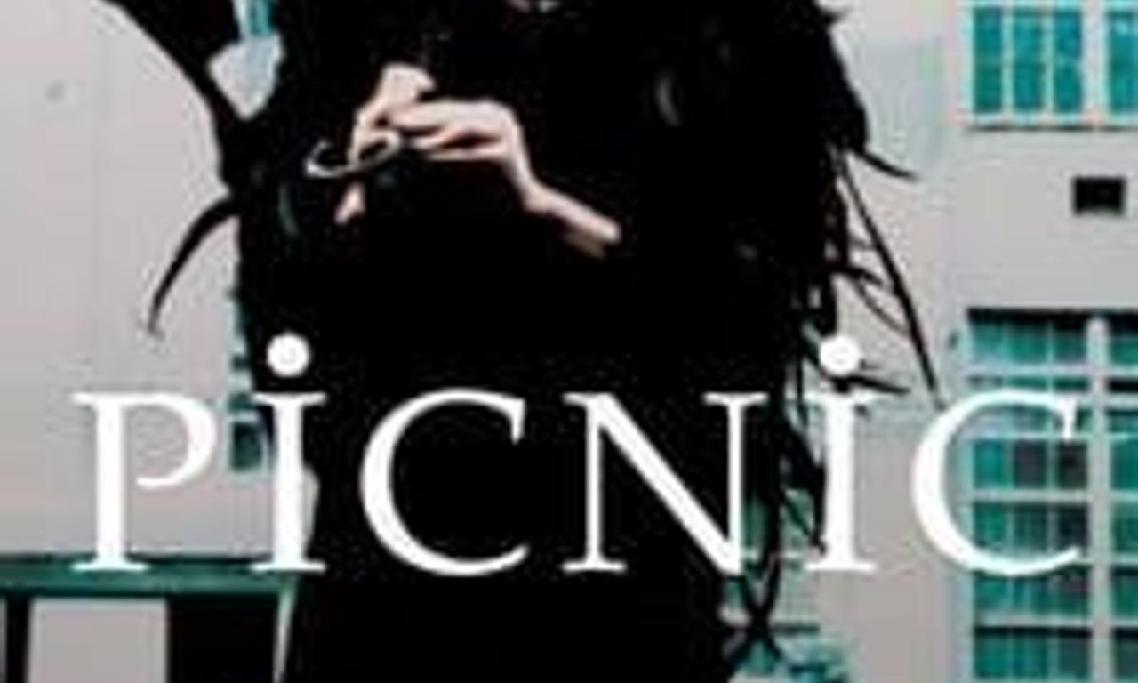 header image for Picnic