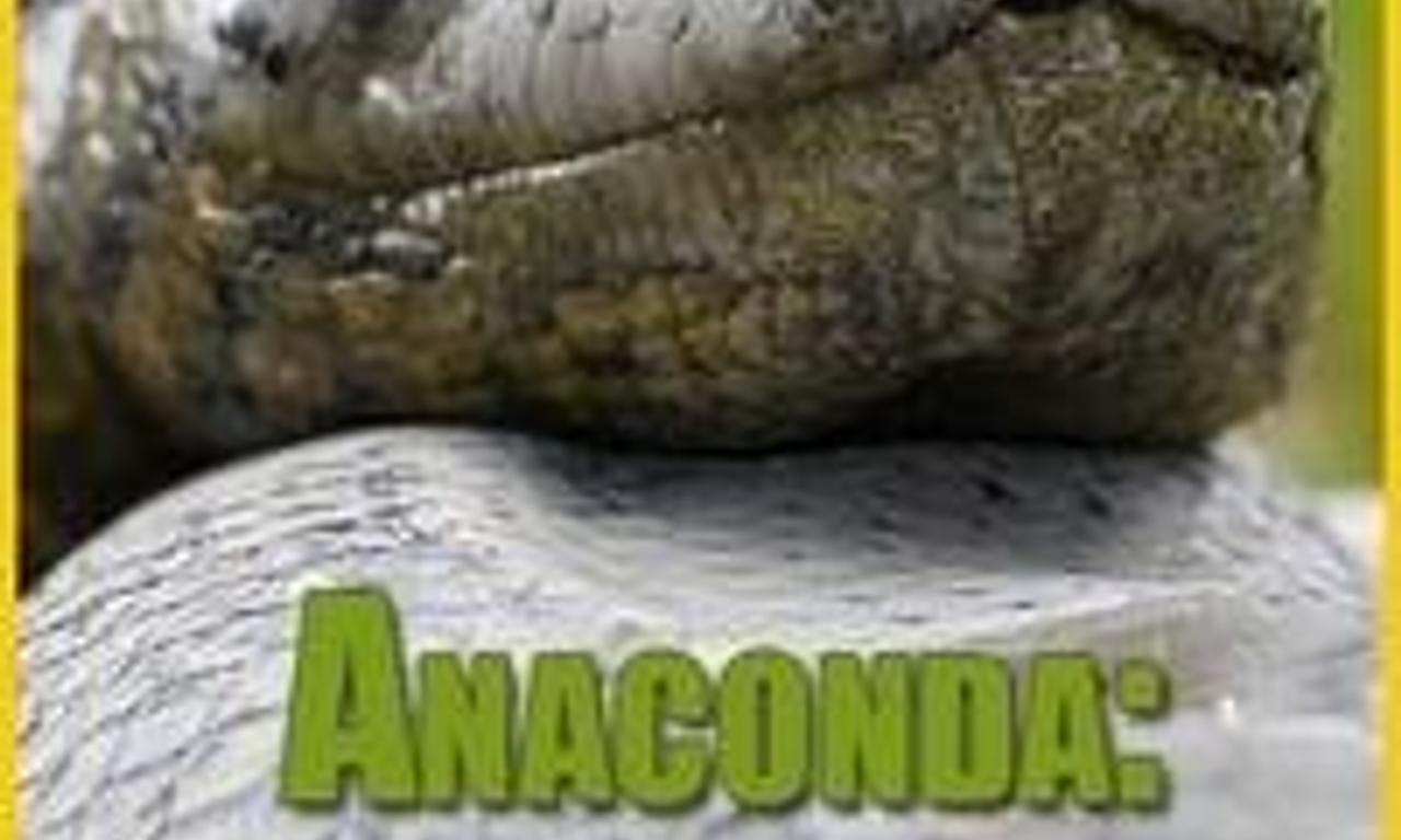 header image for Anaconda: Silent Killer