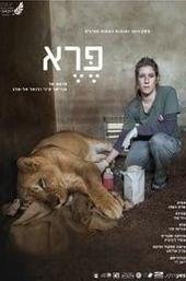Wild: Life, Death and Love in a Wildlife Hospital