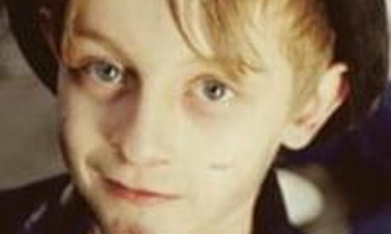 Dog's life Where to Watch and Stream Online Entertainment.ie