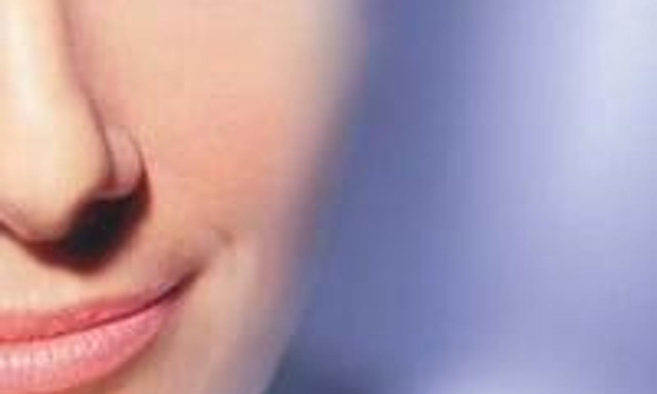 header image for Wit