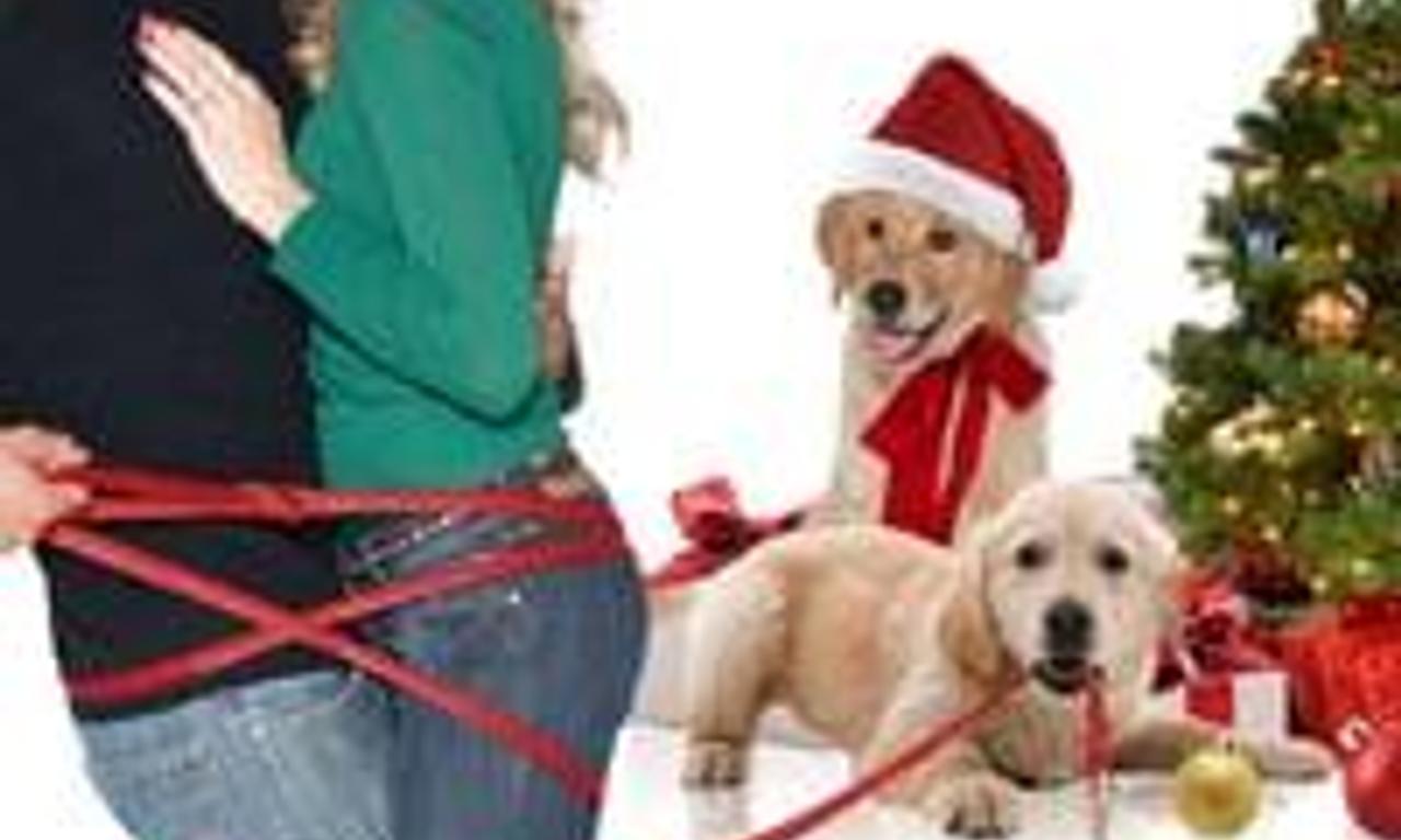 header image for A Golden Christmas 3