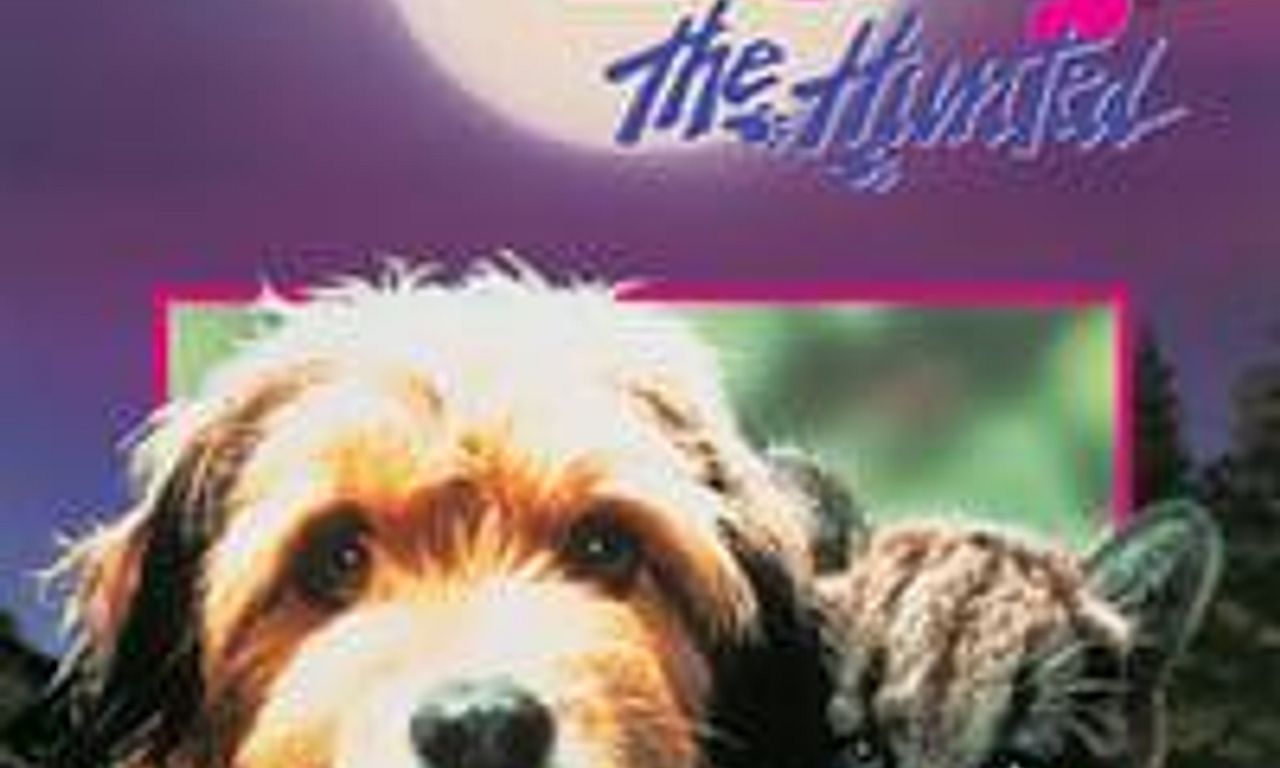 header image for Benji the Hunted