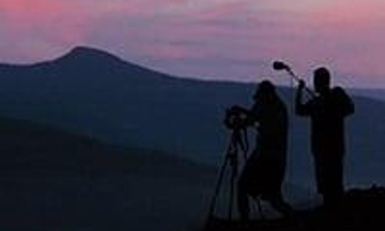 header image for To Be Forever Wild