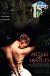 Angels and Insects