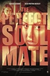 The Perfect Soulmate