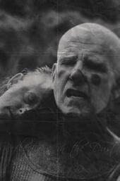 Reflections in the Dust