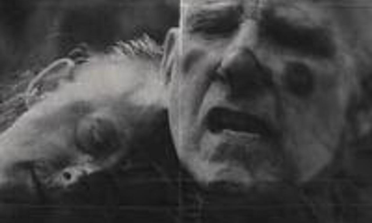 header image for Reflections in the Dust