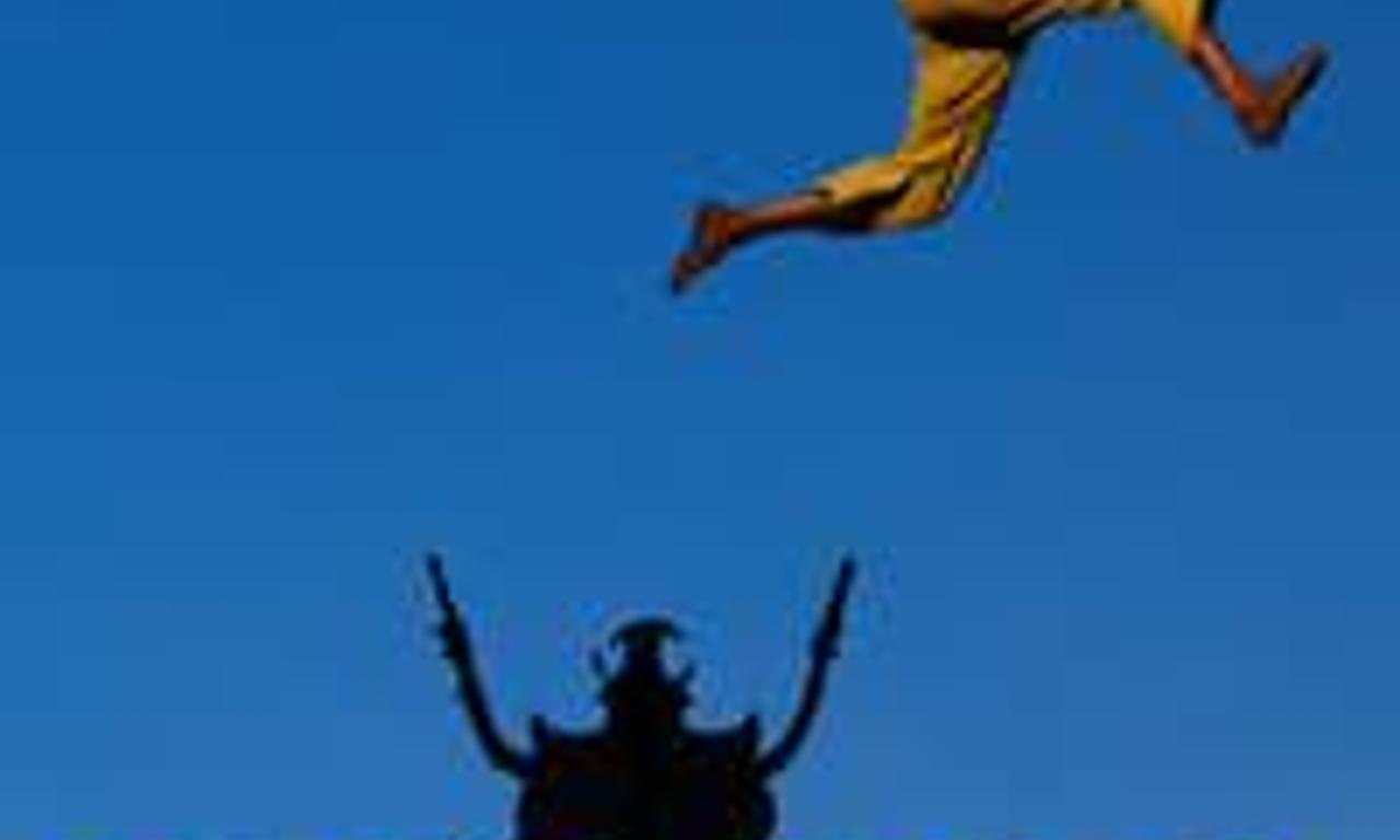 header image for The Assailant