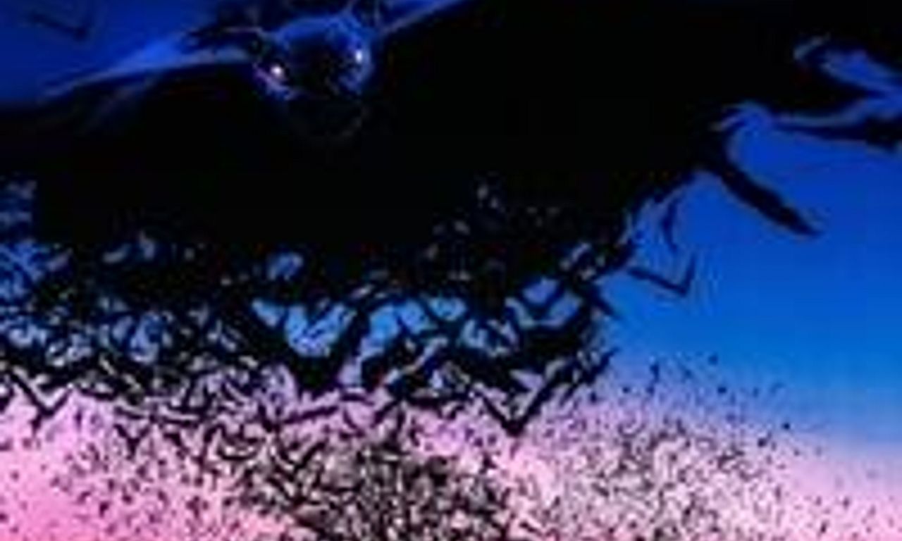 header image for Bats
