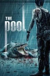The Pool