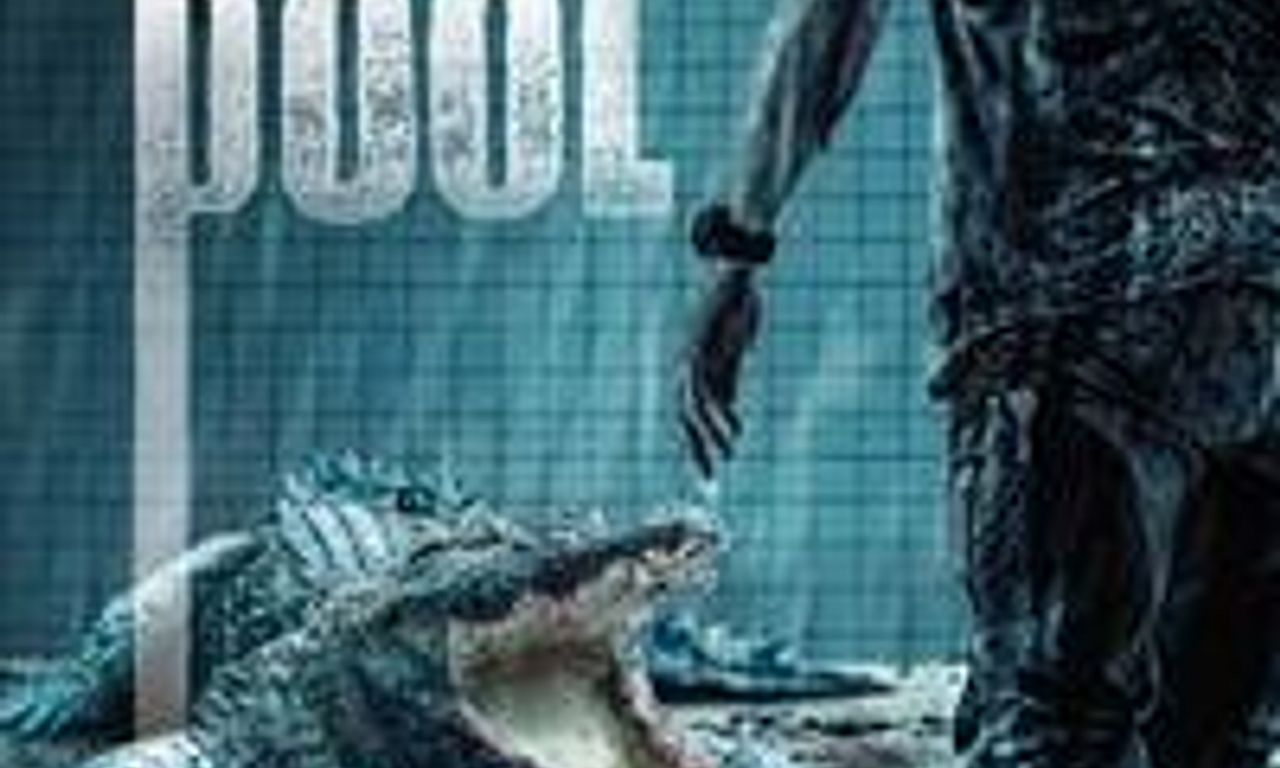 header image for The Pool