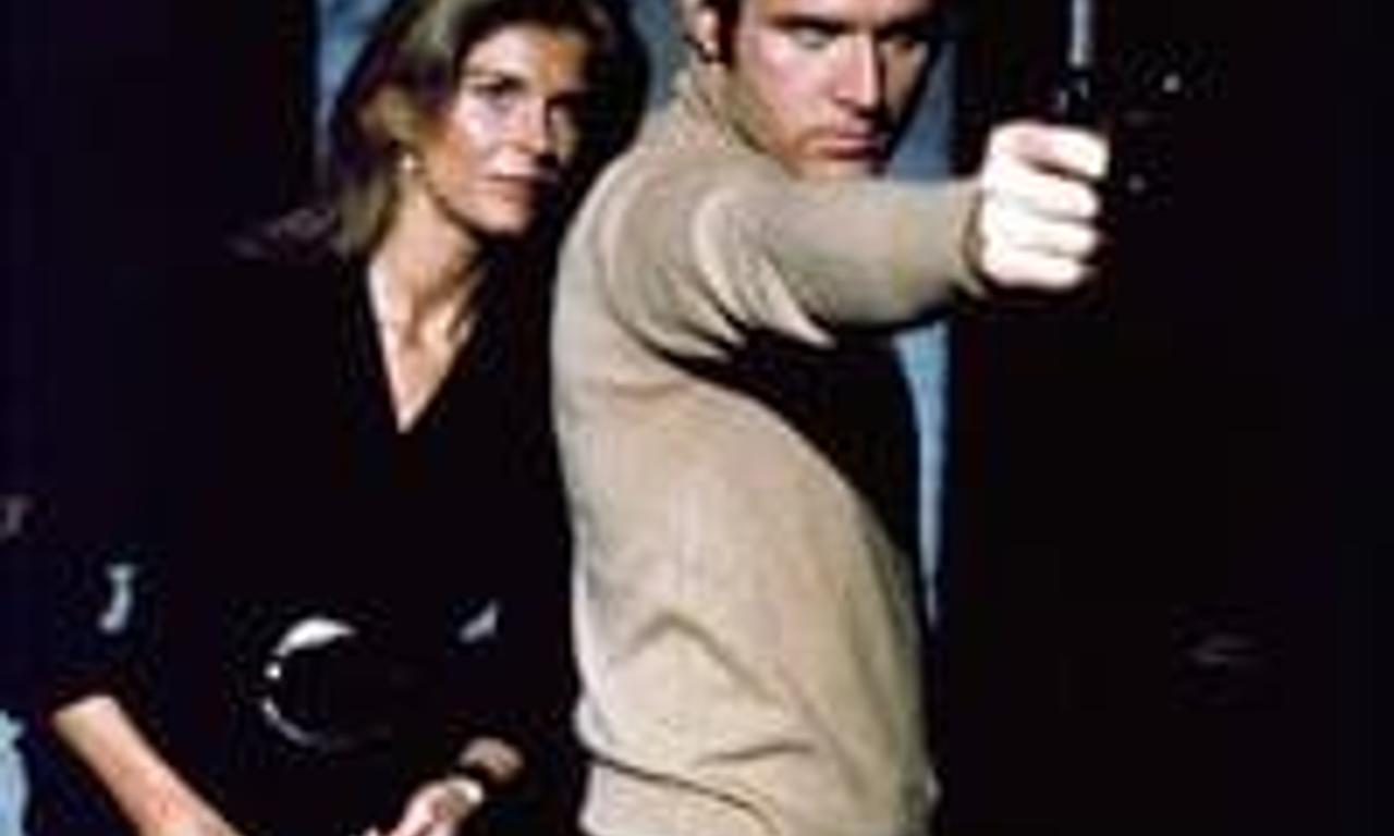 header image for 11 Harrowhouse