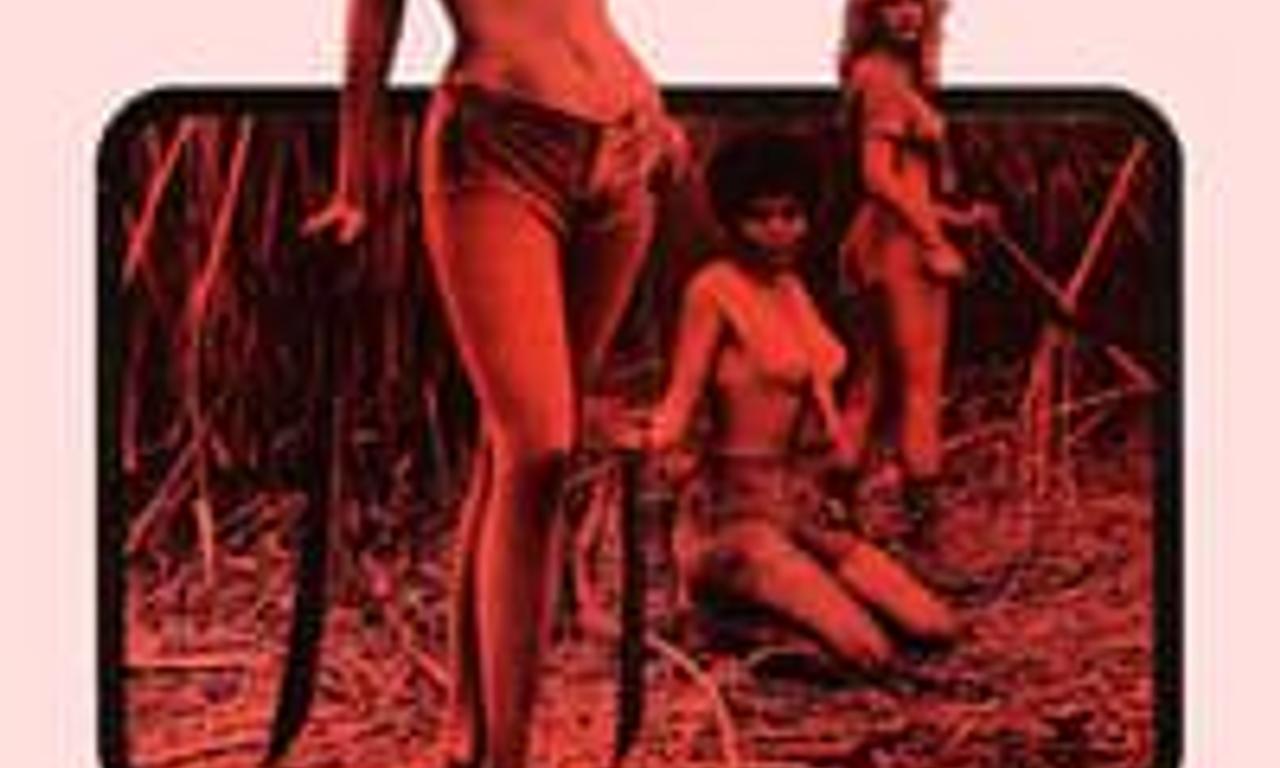 header image for Sweet Sugar