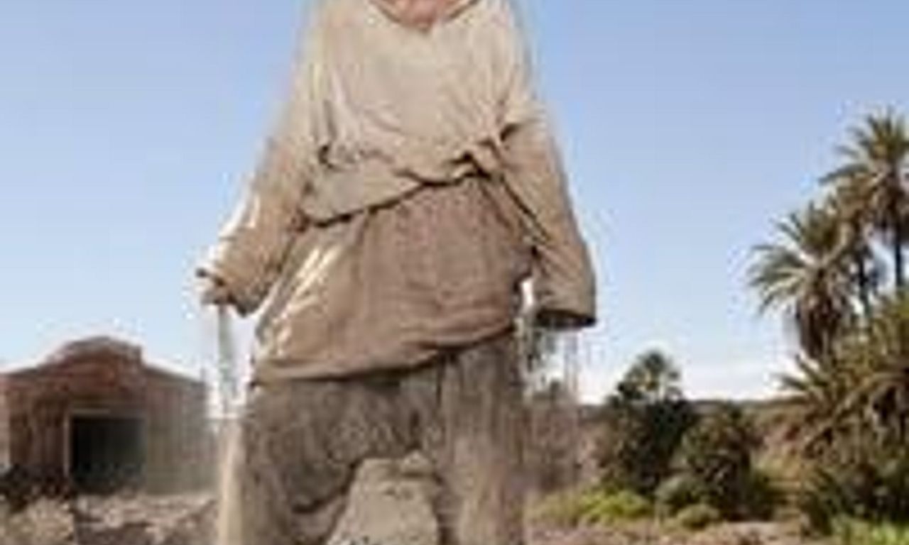 header image for The Ark