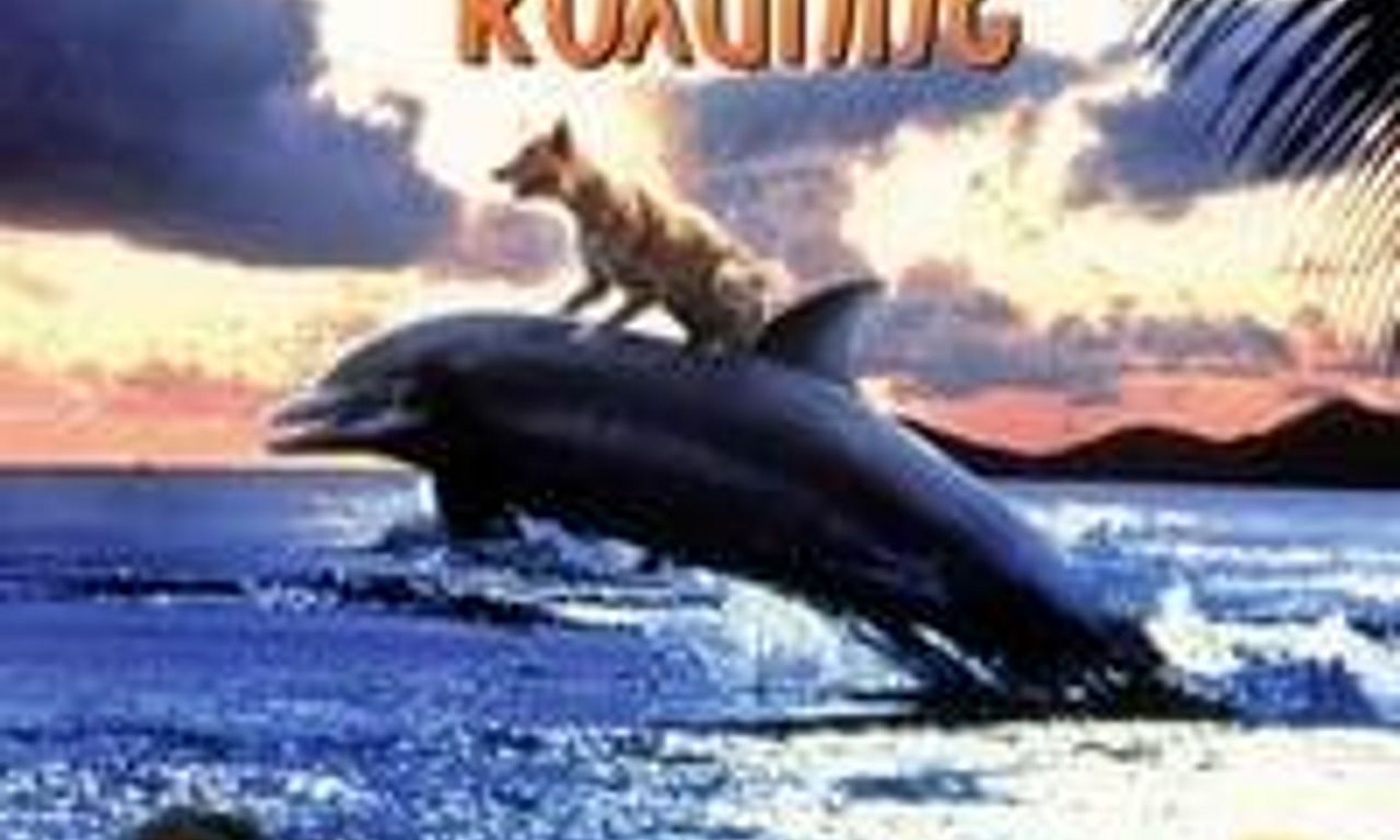 header image for Zeus & Roxanne