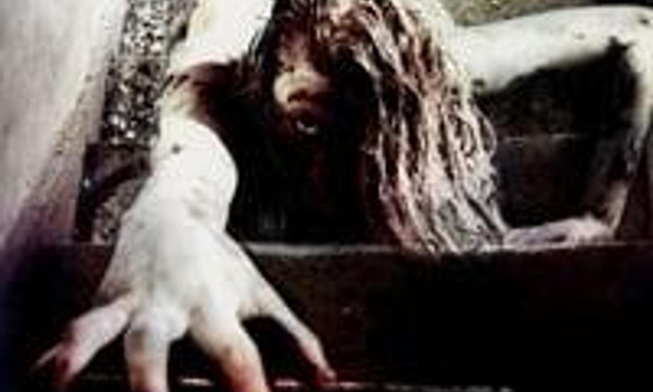 header image for Salvage