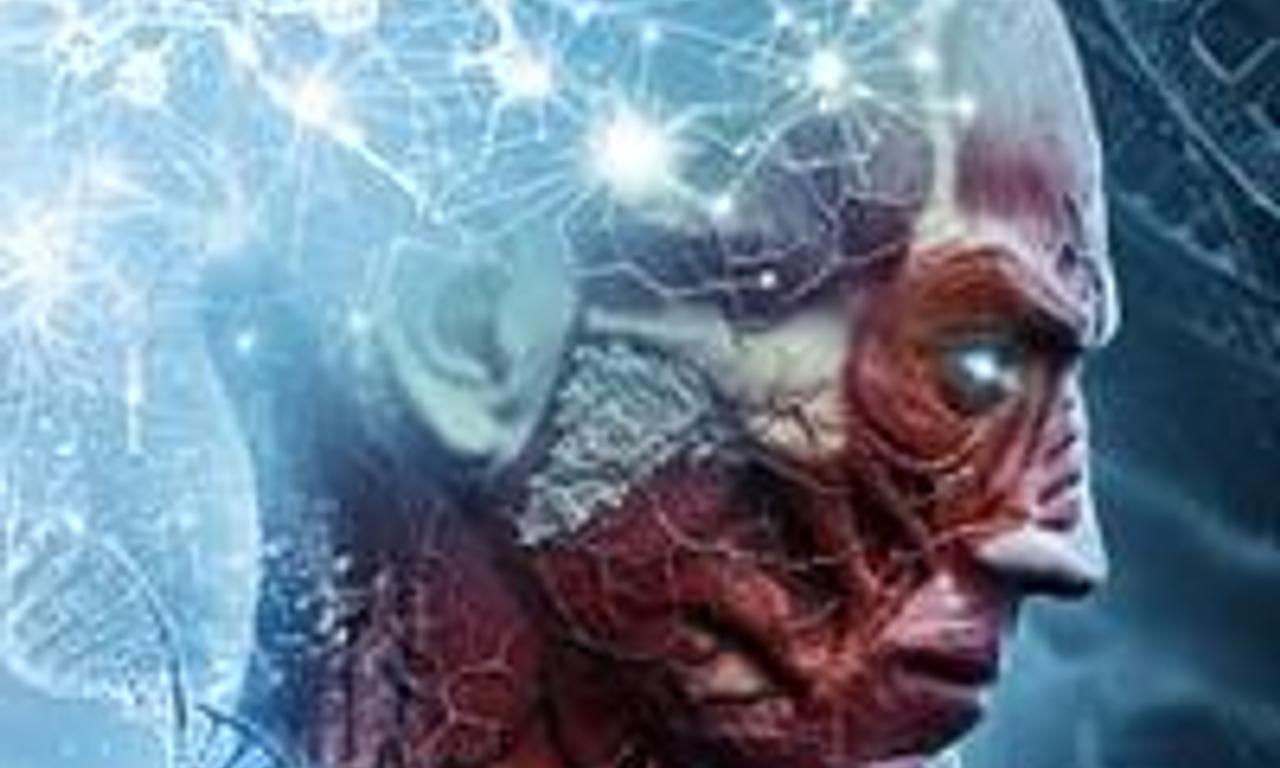 header image for Loophole