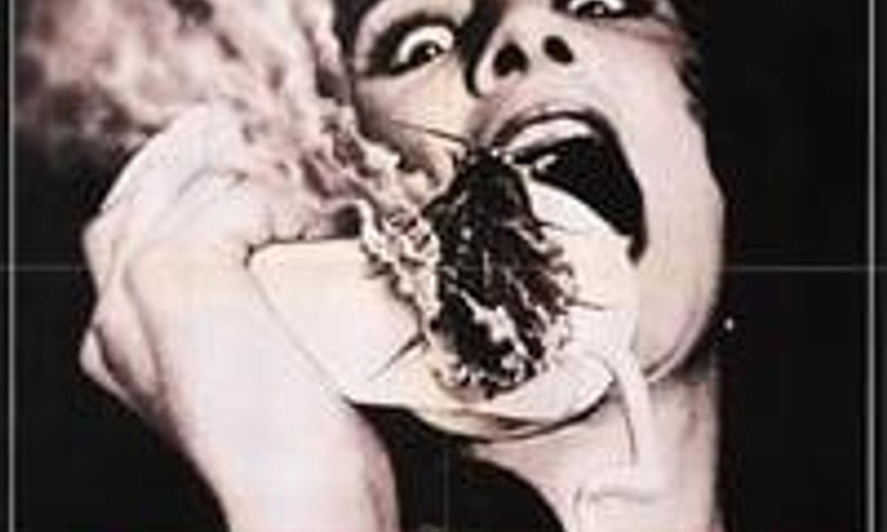 header image for Bug