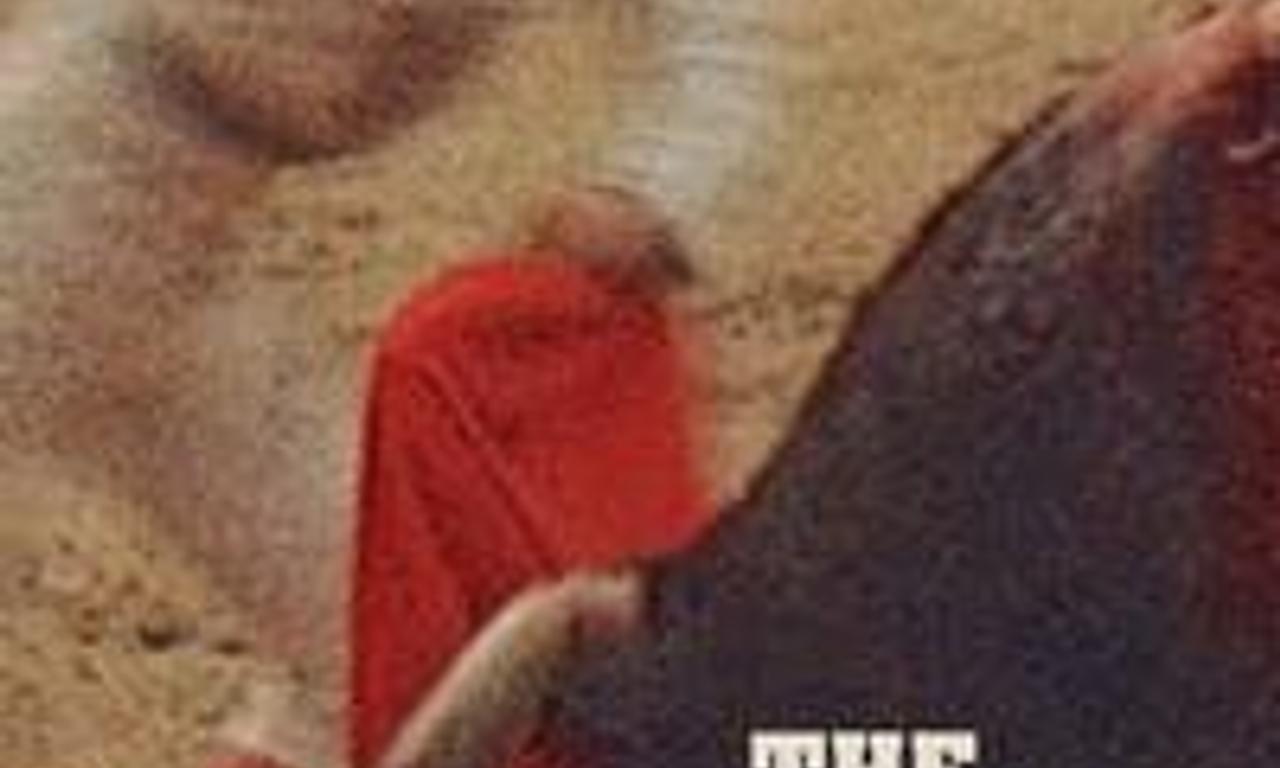 header image for The Moment of Truth