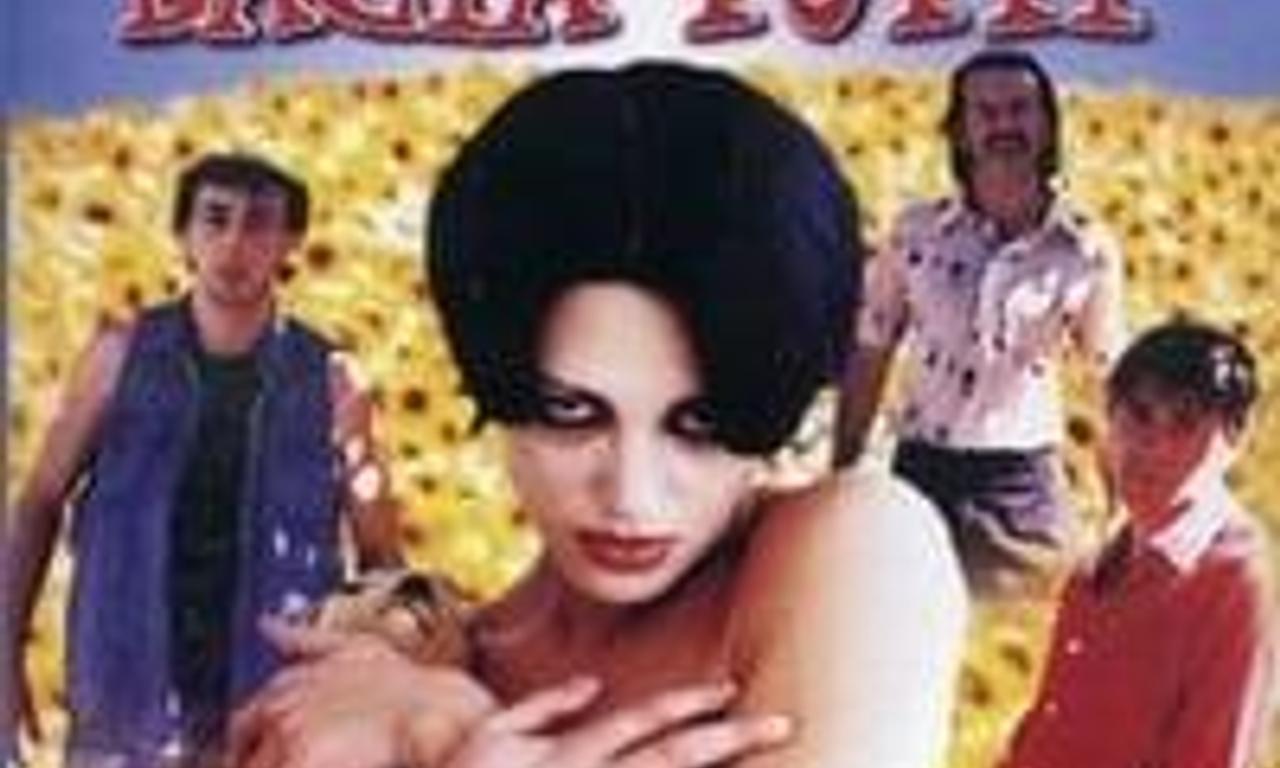 Viola bacia tutti Where to Watch and Stream Online Entertainment.ie