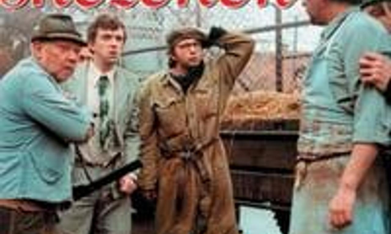 header image for The Snowdrop Festival