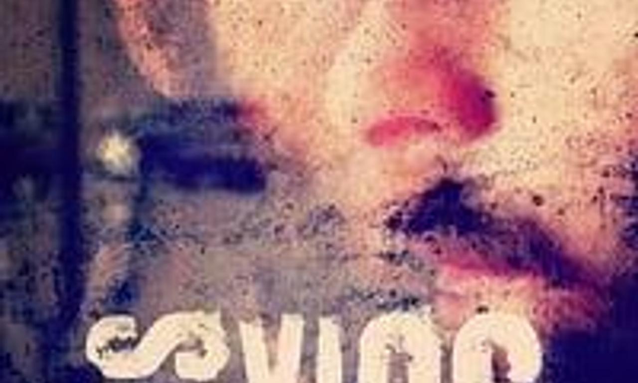 header image for Desvios