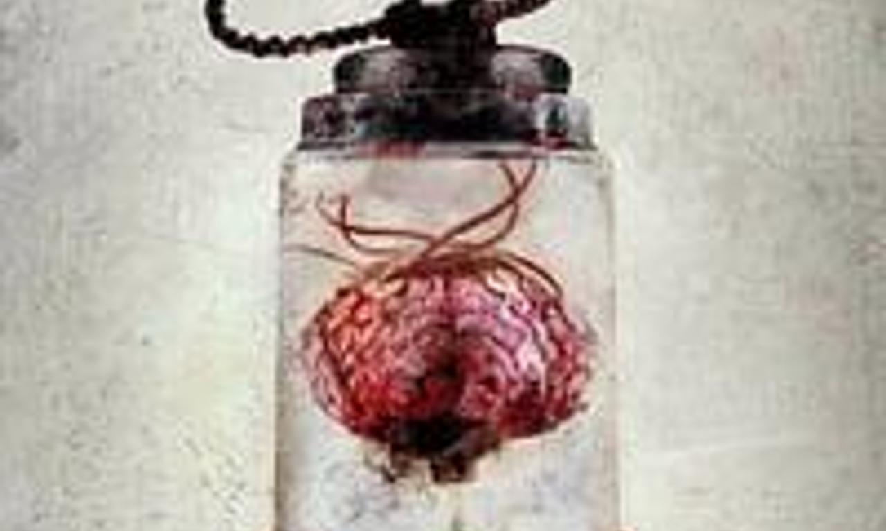 header image for Zeta: When the Dead Awaken