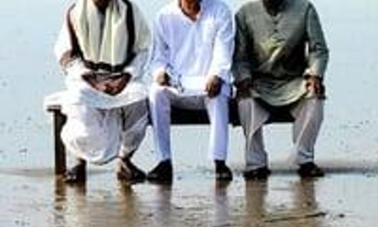 header image for Peace Haven