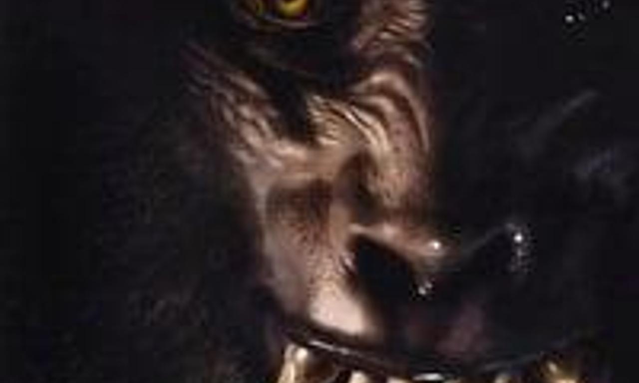 header image for Sasquatch