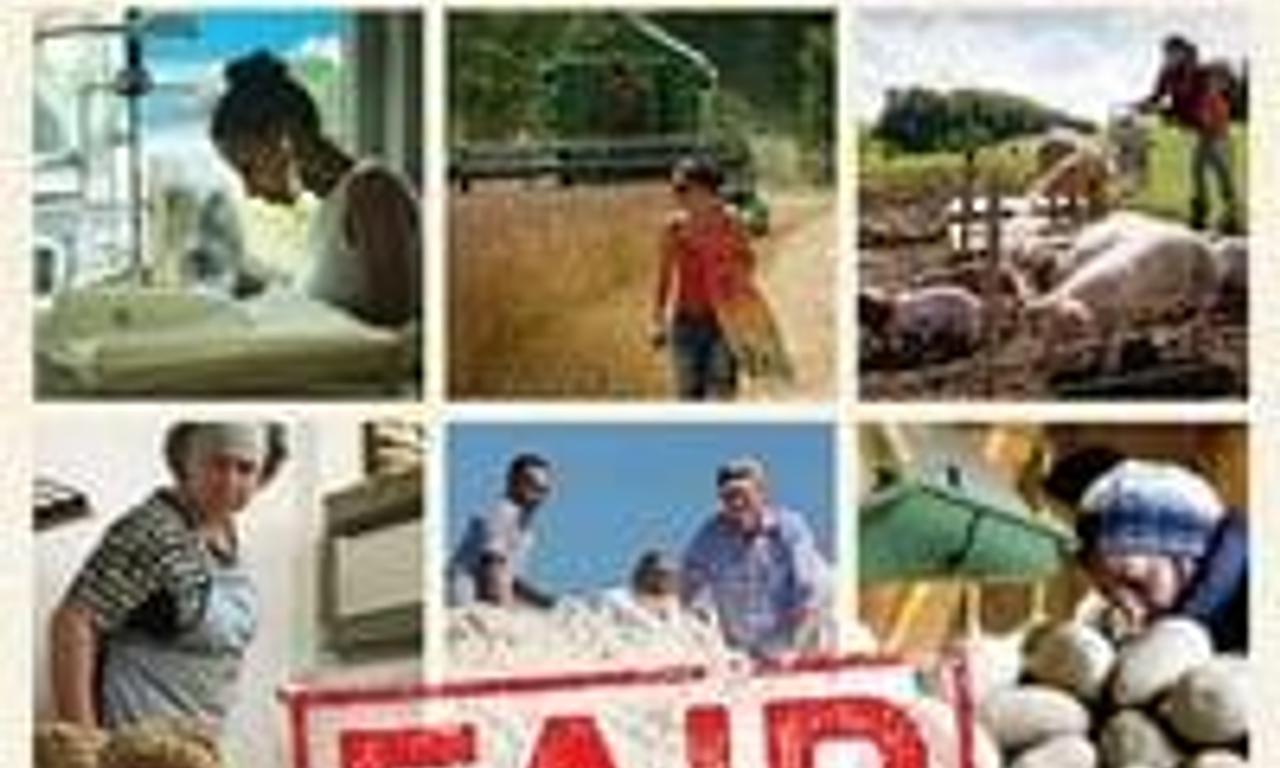 header image for Fair Traders