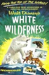 White Wilderness